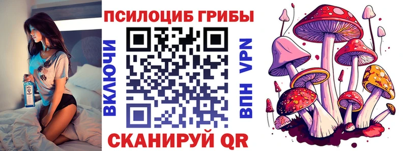 сколько стоит Пустошка МЕГА ССЫЛКА Галлюциногенные грибы мухоморы